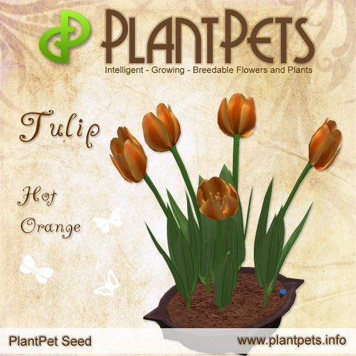 PlantPet Seed [Tulip *Hot Orange*]