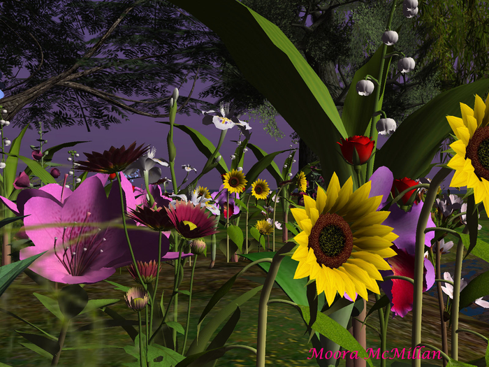 Fairy Flowers ---- 
