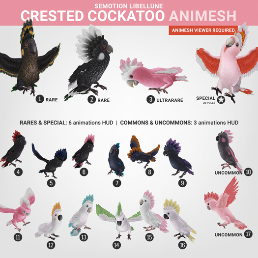 SEmotion Libellune Crested Cockatoo Animesh #10 UNCOMMON
