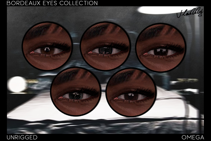 Vladdy // "Bordeaux" Eyes Collection Fatpack
