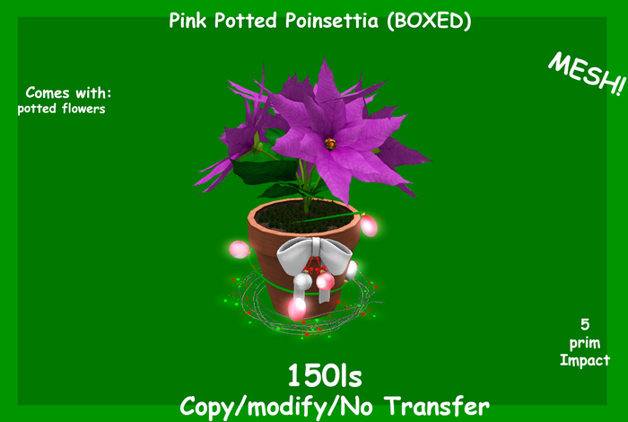 Pink Potted Poinsettia (BOXED)