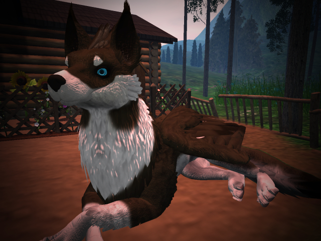 NM's Junk & Stuff Chocolate Mutt Griff