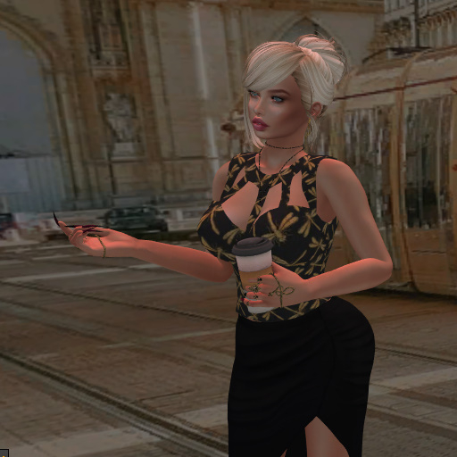 K&S top olivia libellule