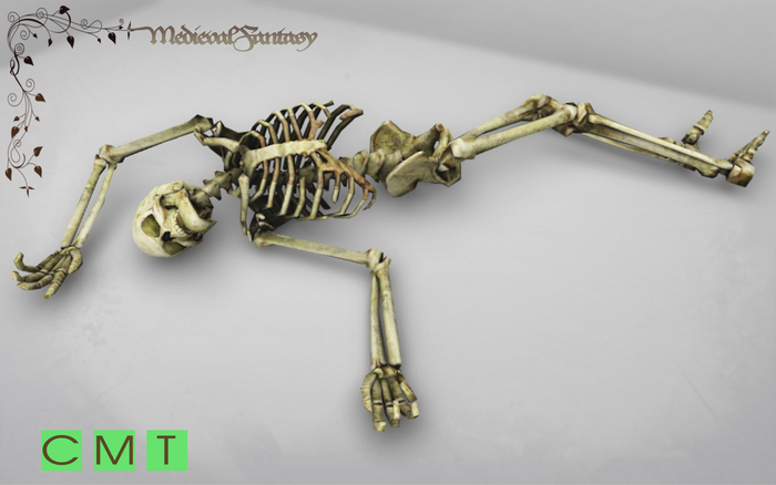 [MF] Mesh FULL PERMISSIONS skeleton (boxed)