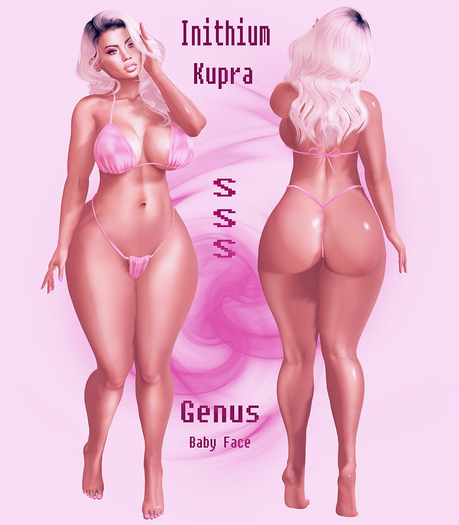SSS - Sookie Shape - Genus Baby Face / Inithium Kupra