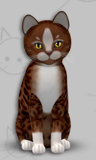 KittyCatS Box - Genesis Ginger II/2T/Female/Flair