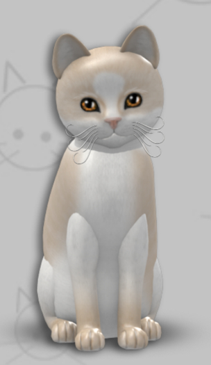 KittyCatS Box - Chateau Cat - Cream & White No. 1/3T/Female/Dreamy