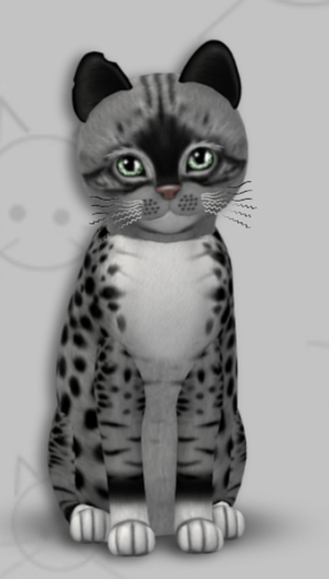 KittyCatS Box - Genesis Bandit II/5T/Female/Verdant