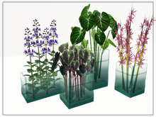 [AE] Garden Store (boxed) - Water Vase Set of 4