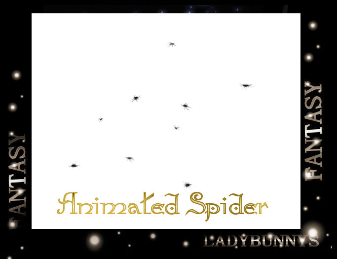 ~Hauntingly Halloween~Spider Creeping and crawling