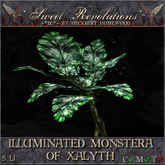 ~*SR*~ & ~*DL*~ Illuminated Monstera of Xalyth Box
