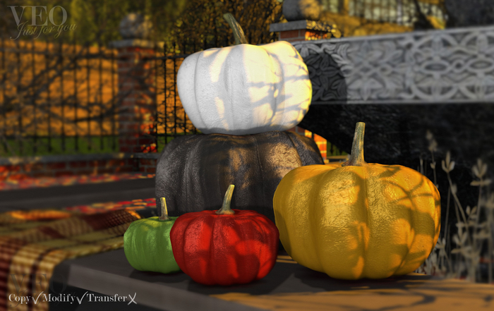 VEO// Painted pumpkins