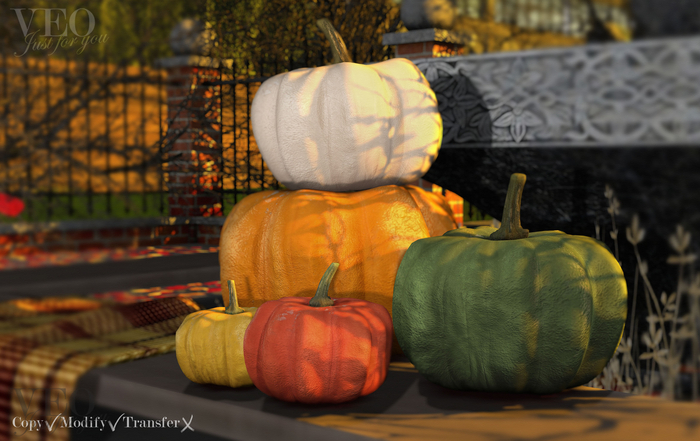 VEO// Natural pumpkins