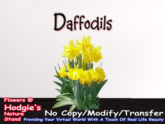 Daffodil (Yellow) High Bunch (One Prim Sculpty Plant)