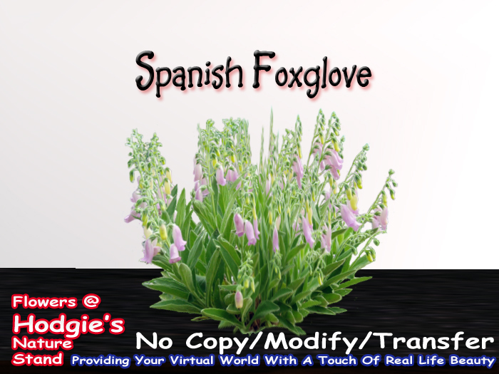 Foxglove (Spanish) (Pink)(One Prim Sculpty Plant)
