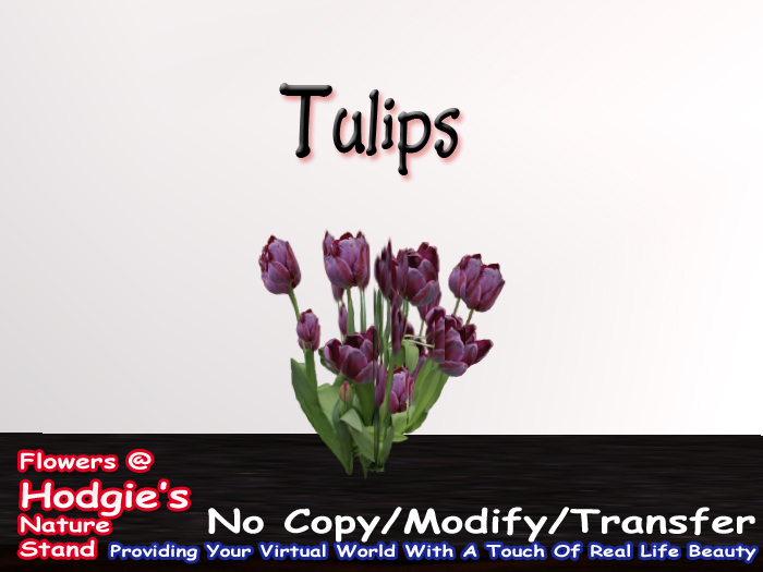 Tulip (Black) One Prim Sculpty Plant