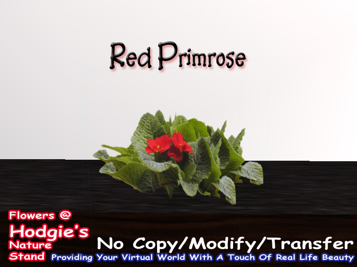 Primrose Red Sculpty 1 prim