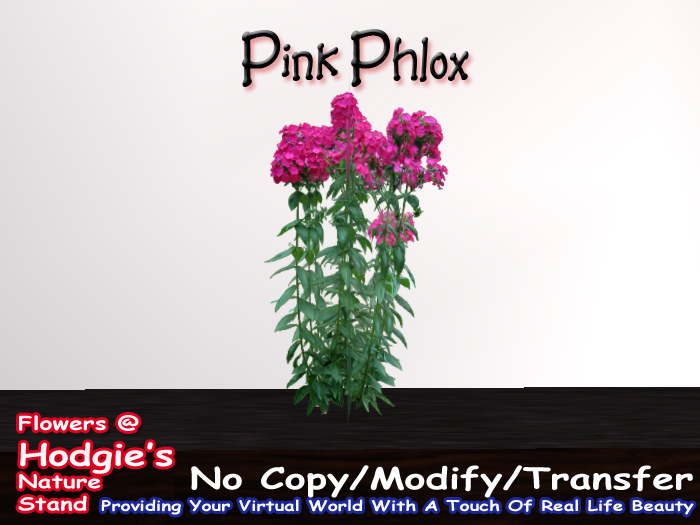 Phlox (Pink) One Prim Sculpty Plant