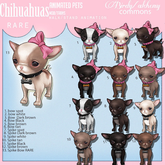 Alchemy/Birdy - Chi Chi Chihuahua - Bow - Tan [box]