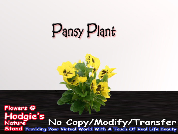 Pansies (Yellow & Brown)(One Prim Sculpty Plant)