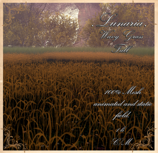.Lunaria. Wavy Grass  - Fall {Add Me}