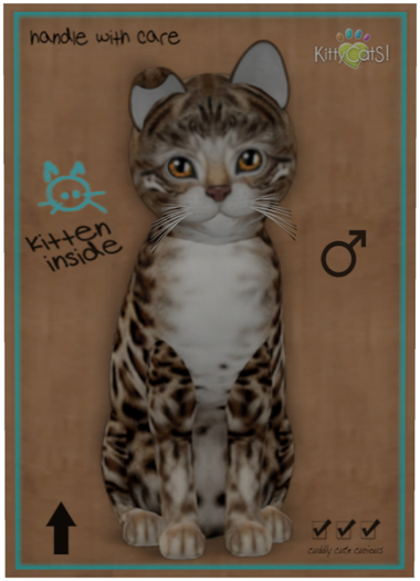 KittyCatS Box - Bengal - Tawny