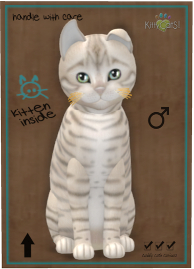 KittyCatS Box - Toyger - Snow