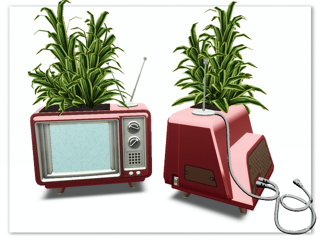 [AE] Garden Store - TV  Plant