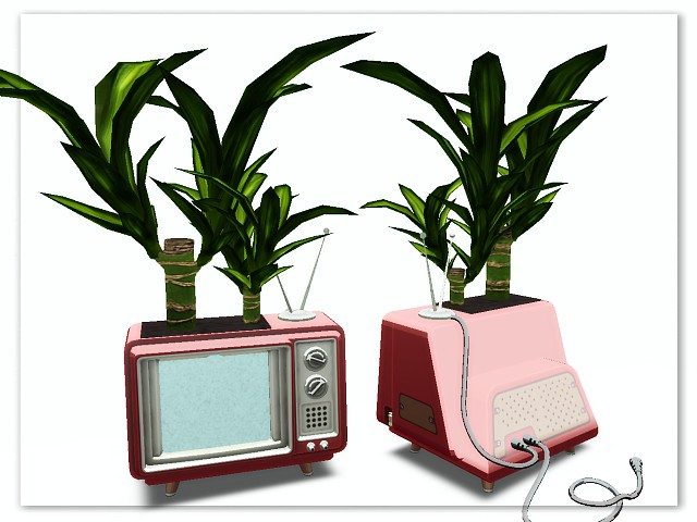 [AE] Garden Store - TV Plant Yuca
