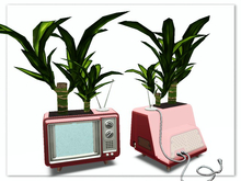 [AE] Garden Store - TV Plant Yuca