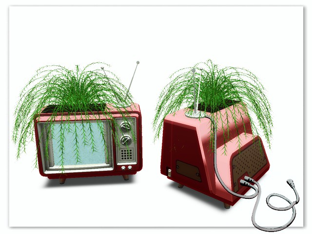 [AE] Garden Store - TV Plant Fern 1