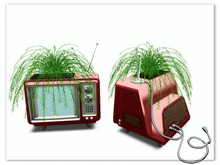 [AE] Garden Store - TV Plant Fern 1
