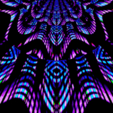 Purple Wavy GIF
