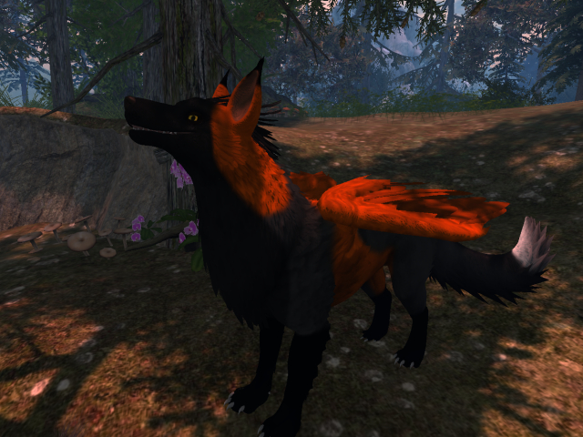 NM's Junk & Stuff Cross Fox Griff (Boxed)