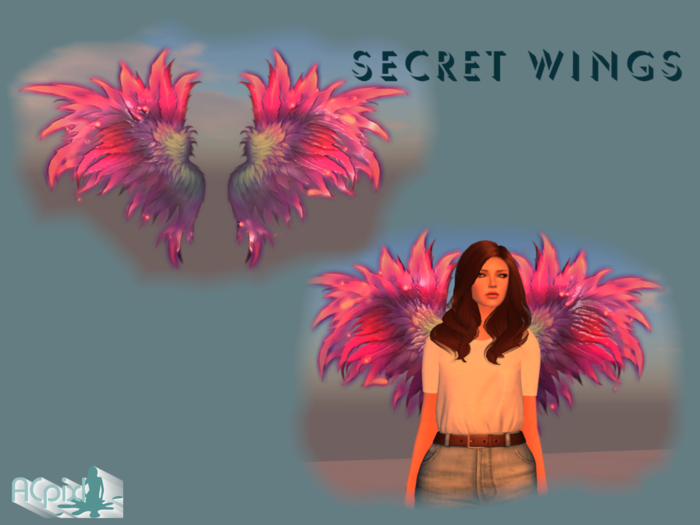 Secret Wings Pink/Purple