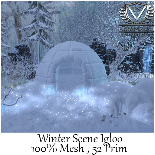 Winter Scene Igloo 