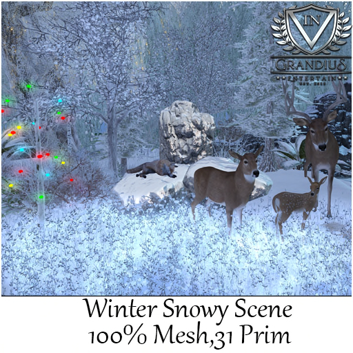 Winter  Snowy Scene. / BOX