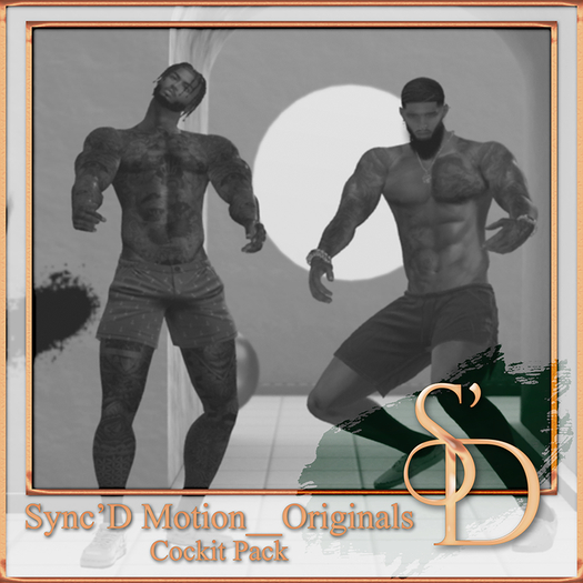 Sync'D Motion__Originals - Cockit Pack