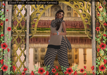 [Good Fairy] - Kareena {Salwar Kameez} Style C