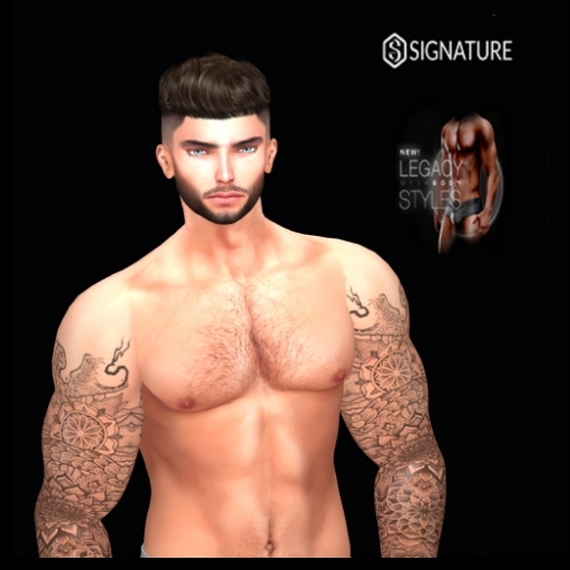 CATWA HEAD TRAVIS SHAPE