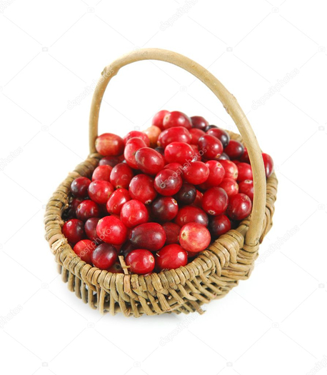 DFS Ram-Berry Basket