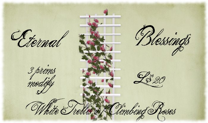 White Trellis w/ Climbing Roses-Boxed