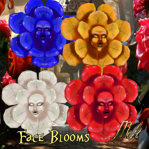 {Melt}Wonderland Face blooms