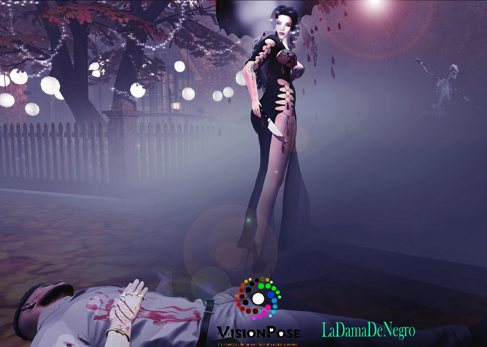 VisionPose:LaDamaDeNegro