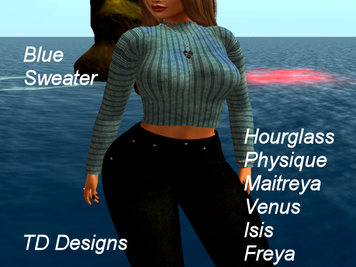 TD Blue Sweater