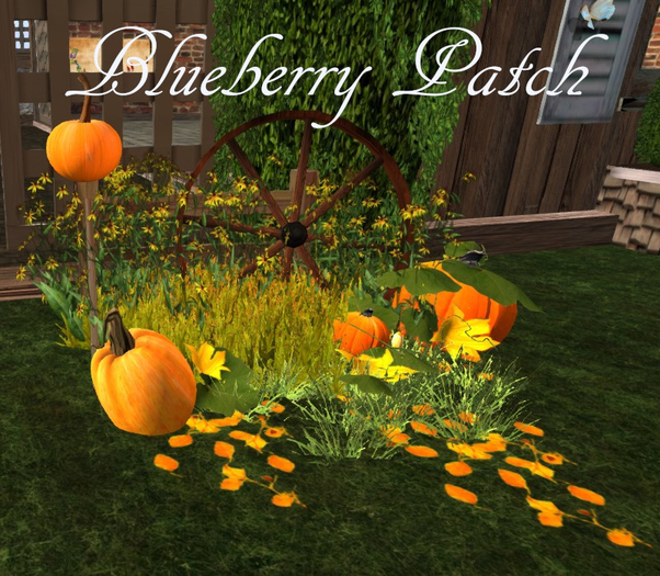 Harvest Pumpkin Corner