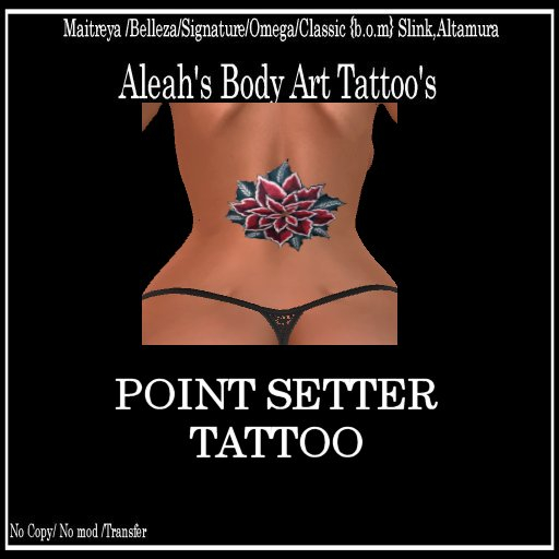 POINT SETTER