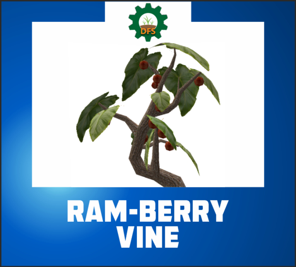 DFS RAM-BERRY VINE (texture)