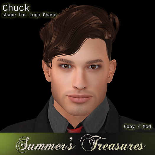 [ST] Chuck Shape for Logo Chase