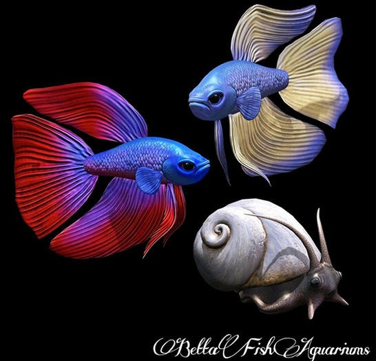 Second Life Marketplace - 12. *HEXtraordinary* Female Betta - Sky